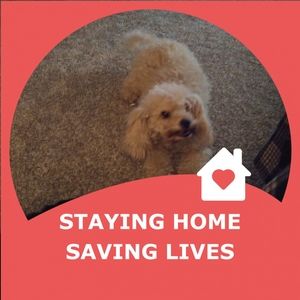 Meet your Posher, Cathy